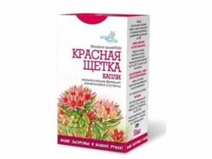 Красная щетка – лечебные свойства, противопоказания и отзывы