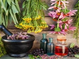 Мочегонные травы - механизм действия и показания к применению