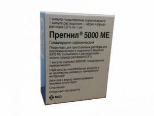 Прегнил – инструкция по применению, механизм действия, форма выпуска, состав, показания и цена