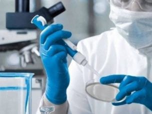 Возбудитель сибирской язвы - Bacillus anthracis
