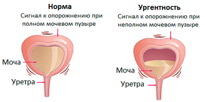 Норма и ургентность