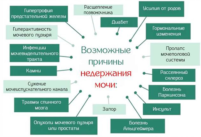 Возможные причины заболевания