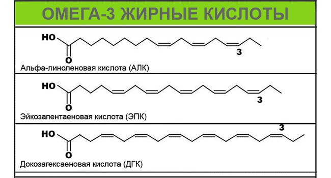 Жирные кислоты