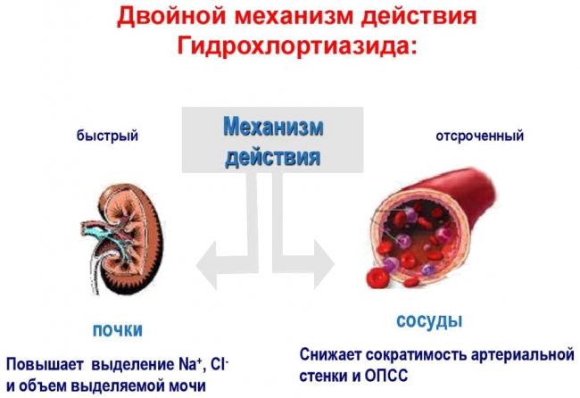 Механизм действия Гидрохлортиазида